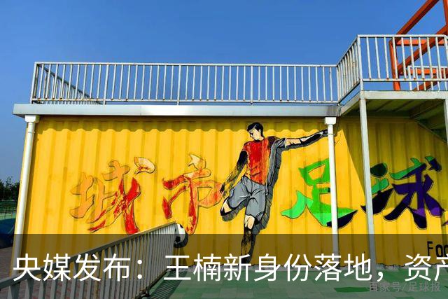 央媒发布：王楠新身份落地，资产冻结、被带走调查传闻早有真相！