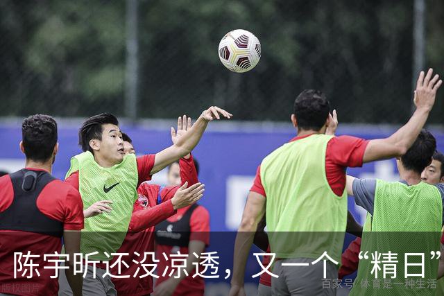 陈宇昕还没凉透，又一个“精日”人员被揪出来，竟然还是企业老板